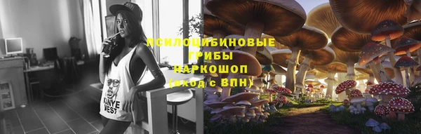 шишки Алзамай
