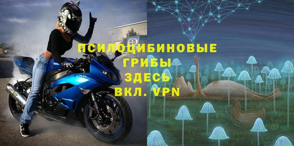 крисы Алексин