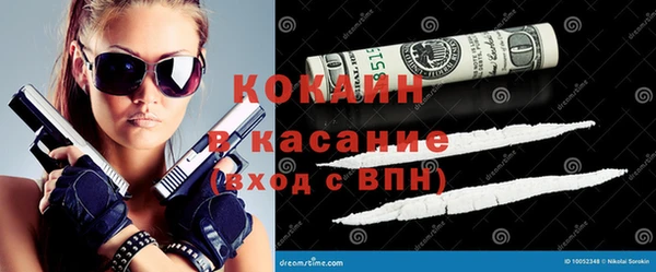 шишки Алзамай