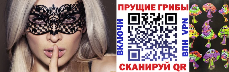 Галлюциногенные грибы GOLDEN TEACHER  Усть-Илимск 