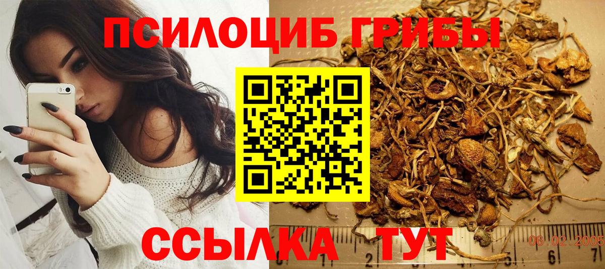 Псилоцибиновые грибы Psilocybine cubensis Усть-Илимск