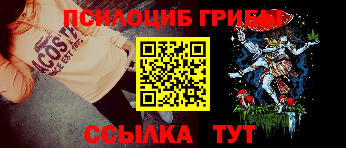 Галлюциногенные грибы Psilocybe  Вход с VPN  Усть-Илимск  Галлюциногенные грибы Cubensis 